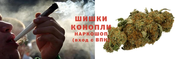 сатива Сафоново