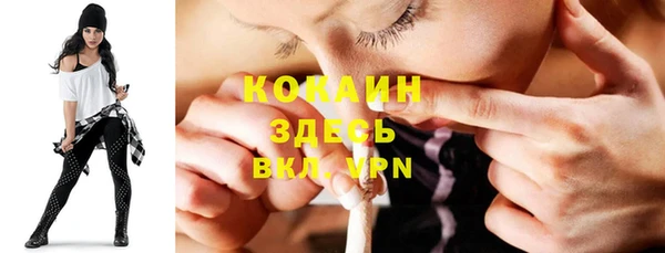 PSILOCYBIN Сатка