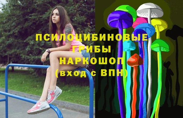 сатива Сафоново