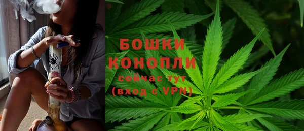 амф Саяногорск