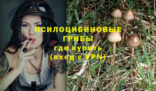амф Саяногорск