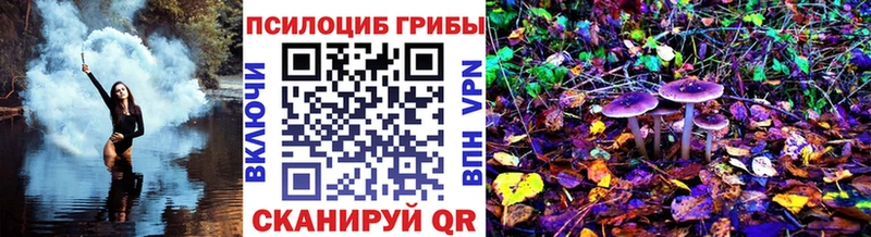 OMG ссылка  цены   Юхнов  Псилоцибиновые грибы мицелий 